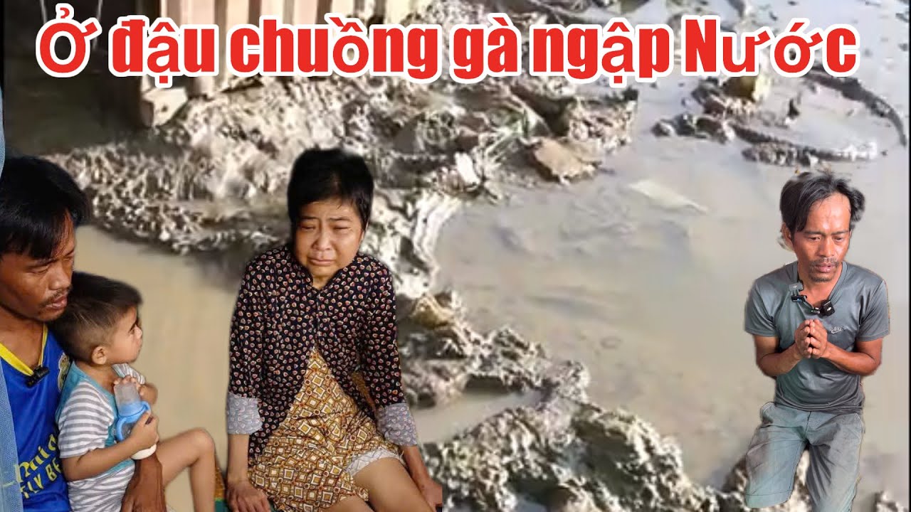 Tận cùng của cái nghèo Cảnh Vợ bệnh ở đậu Chuồng gà ngập Nước của người em