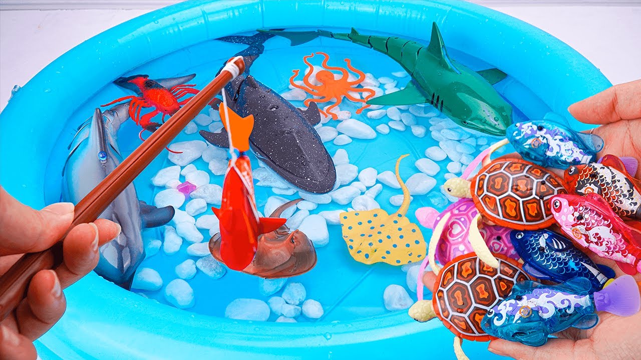 [🐟toy asmr 🐟] Sea Animal Toys & Zuru Robo Fish & Robo Turtle Playset ASMR | Satisfying Unboxing