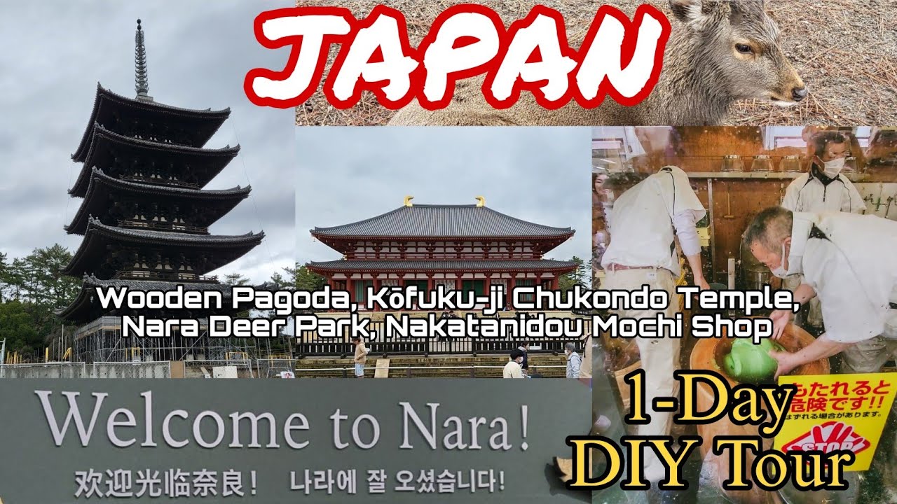 1 Day DIY Nara Tour | Nara Deer Park - Nakatanidou Mochi Shop - Buddhist Temple