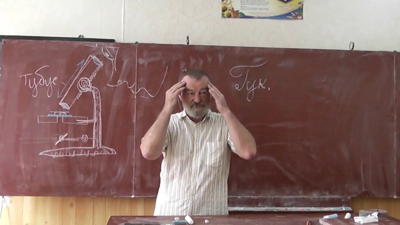 49 Микроскоп. Целлюлоза. Гук и Левенгук, Шлейден, Шванн, Вирхов