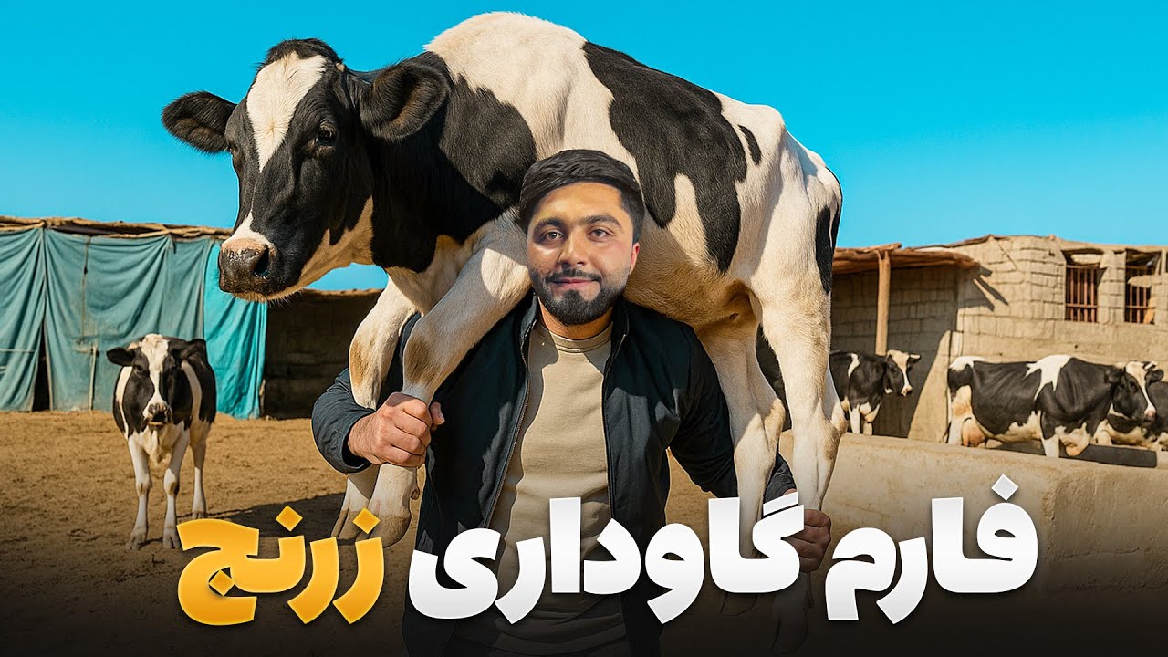 قریه به قریه -  دیدار فهیم افکار از فارم گاو داری در شهر زرنج
