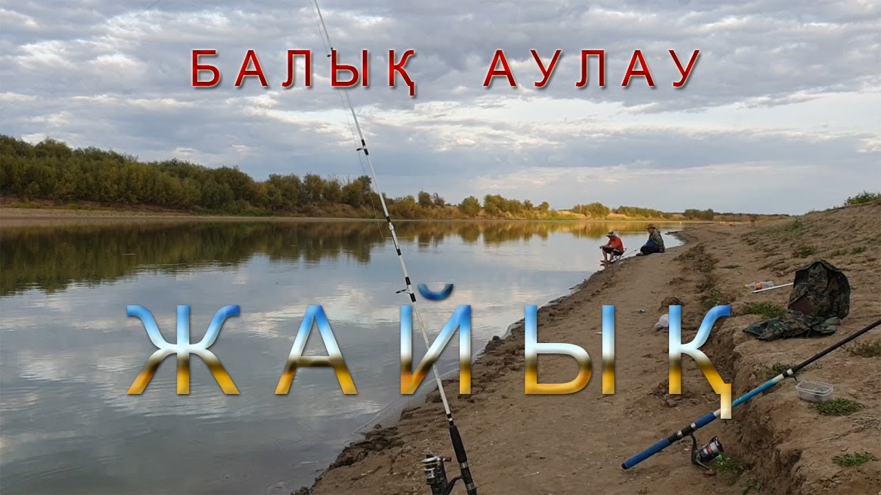 балық аулау Жайықта!Бакланий.Ақтау-Атырау!