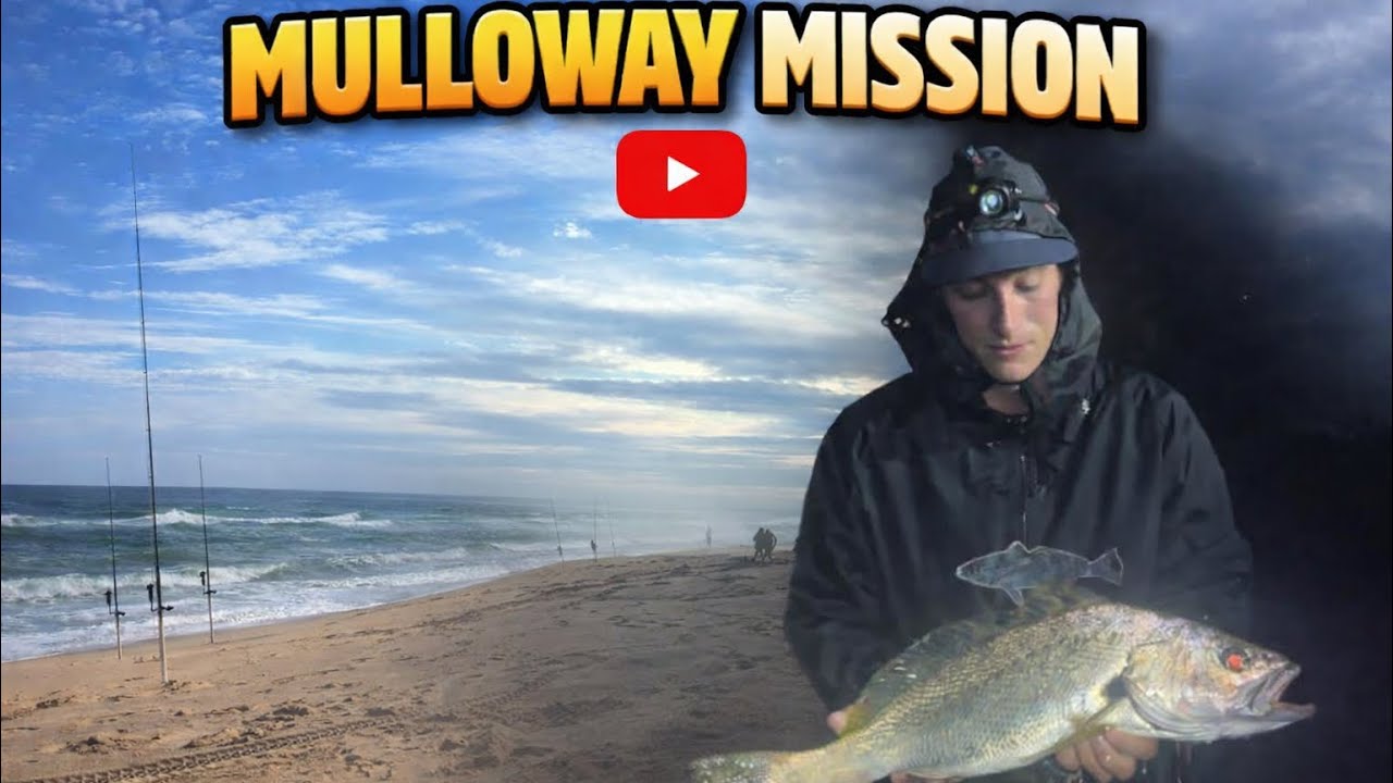 Mulloway mission 