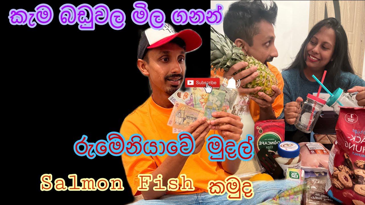 Grocery Shopping Romania|රුමේනියාවේ මුදල් ගැන දැනගනිමු|Salomon Fish Price|Travel Vlogs Romania