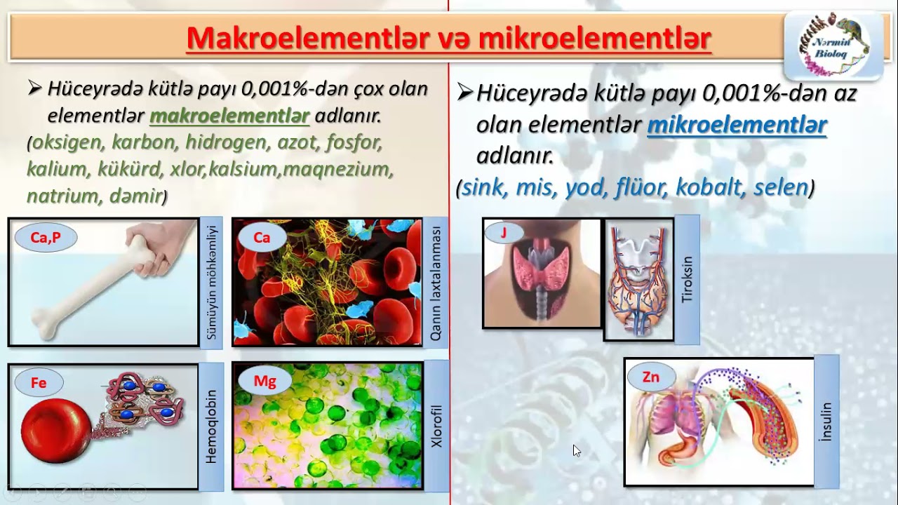 Biologiya 9cu sinif mövzu 3- Hüceyrənin kimyəvi tərkibi