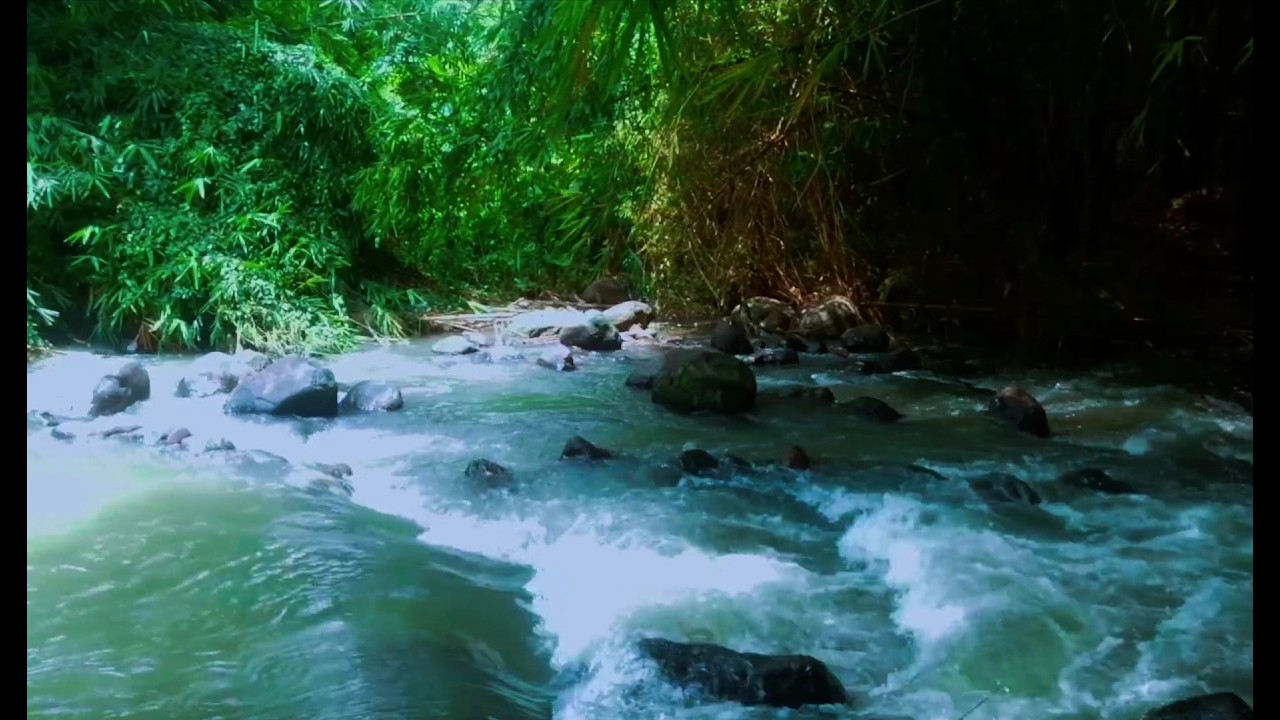 Tranquil River Ambience – Soft Stream and Forest Sounds for Deep Sleep and Inner Peace