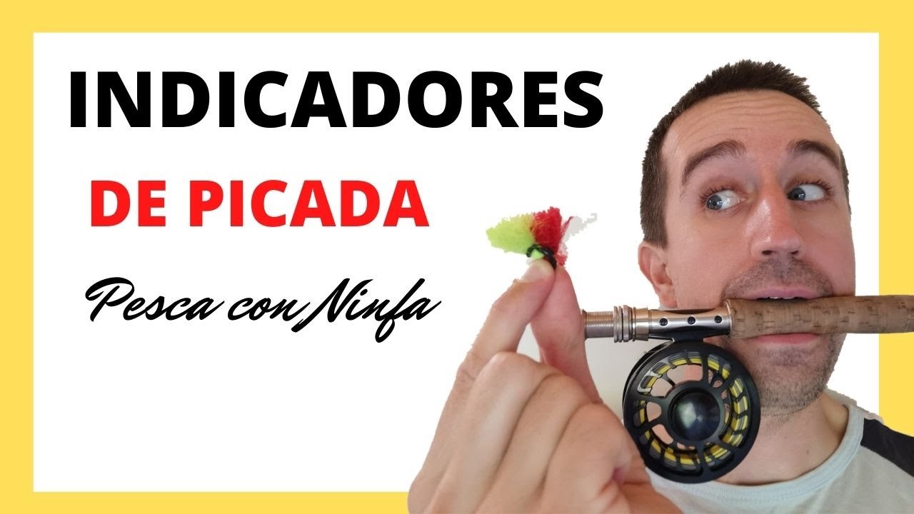 Cómo pescar a Ninfa con Indicador  🔴