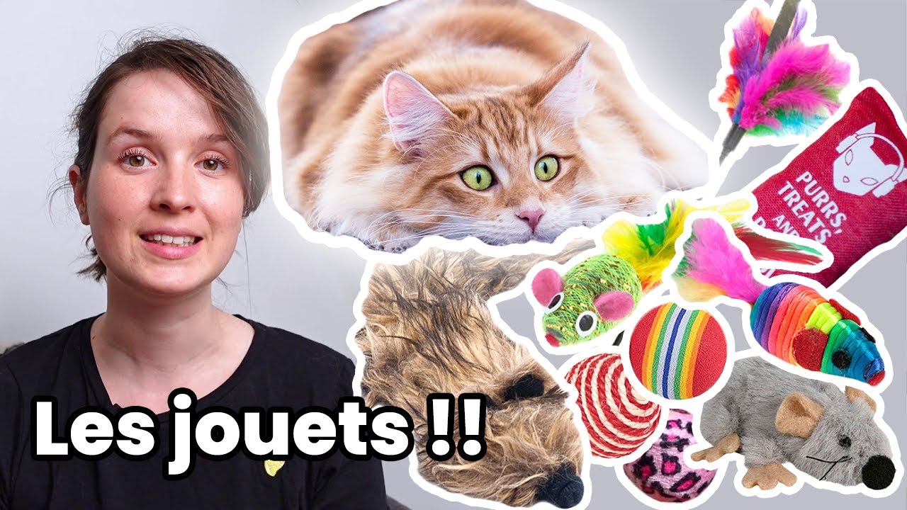 Les meilleurs jouets pour chats (et le pire !!)
