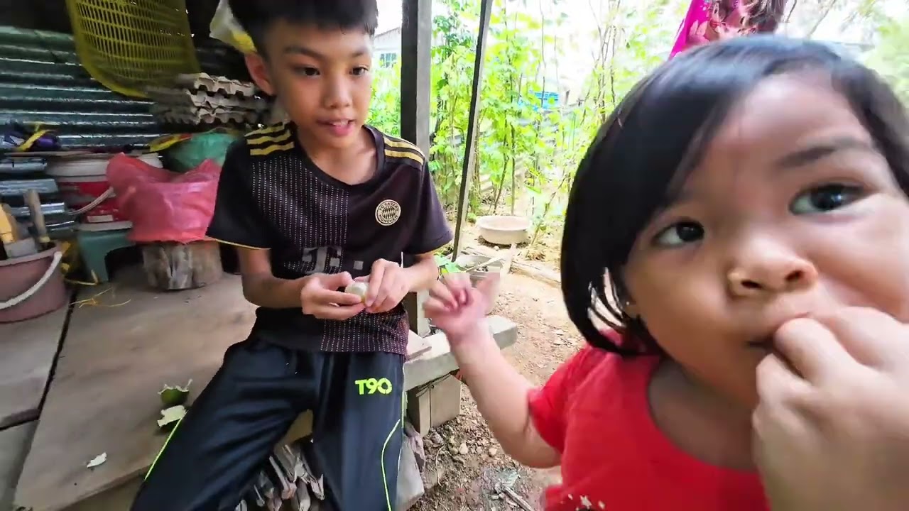 CUCU KUMANG JAWAI AMBIL BUAH KASAI TANPA KEBENARAN // CHEK BUBU PAYUNG SELEPAS 4 JAM // 
