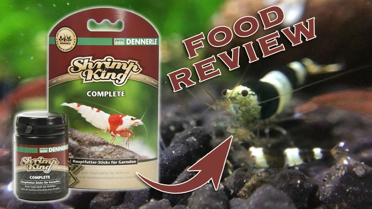 Dennerle Shrimp King Review - Complete