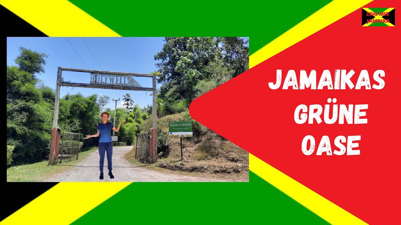 Holywell Park Jamaika - einzigartige Natur im tropischen Wanderparadies