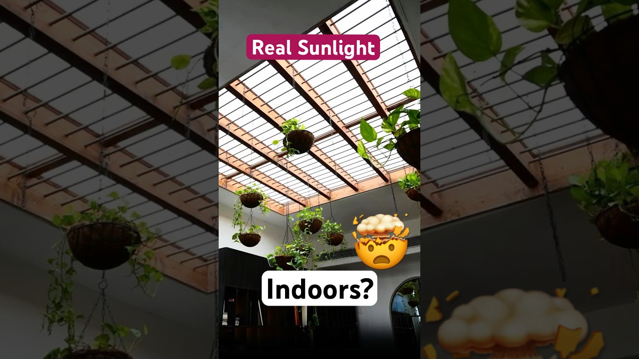 Artificial Sunlight Indoors? This Changes Everything!