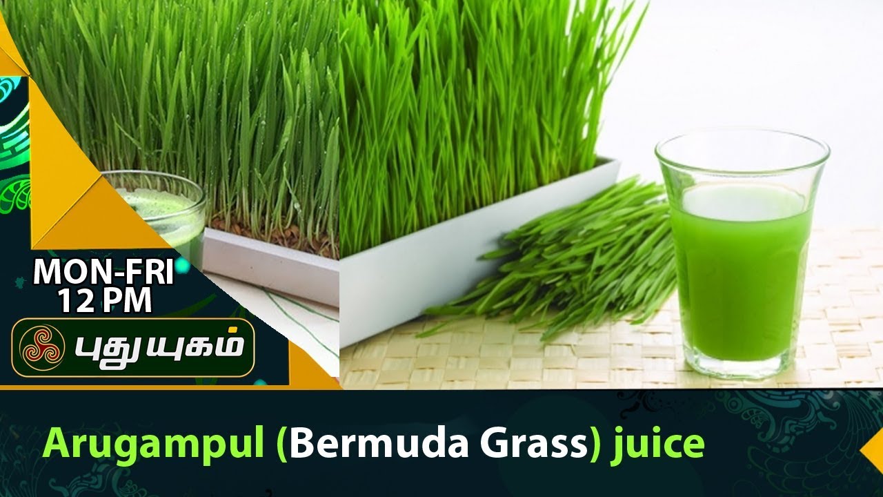 இரத்தத்தை சுத்தப்படுத்தும் அருகம்புல் சாறு | அறிவோம் ஆரோக்கியம் | 04/09/2017