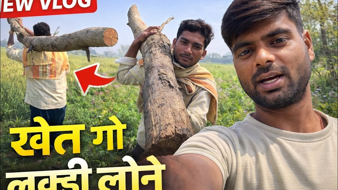 Aaj guys Khet Gye la Lakdi lene 
