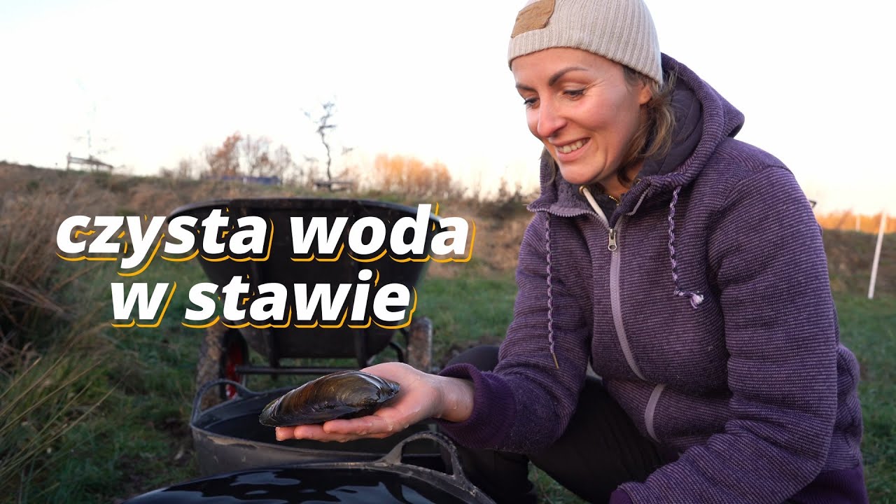 Naturalna filtracja stawu | Czysta woda za pomocą małży szczeżuje | jak pozbyć się glonów