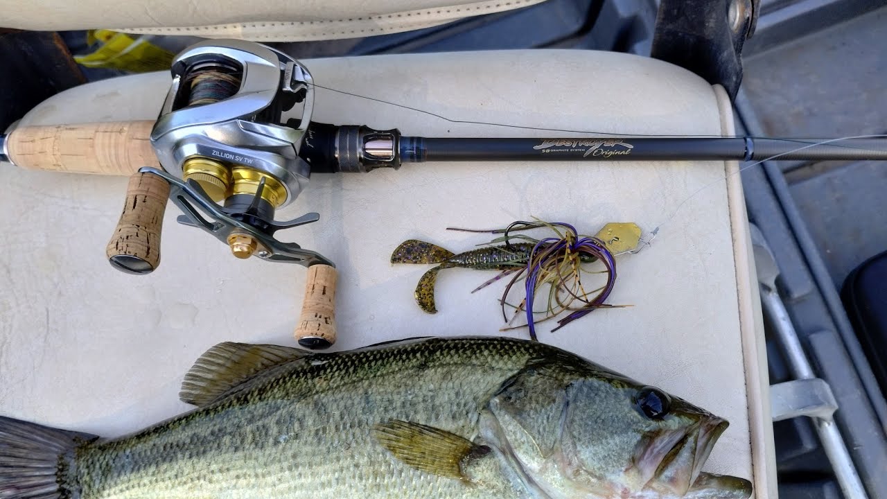 Daiwa Zillion 1000 SV TW Boost Spool MegaBass Destroyer P5 Blade Best Chatterbait Baitcasting Combo