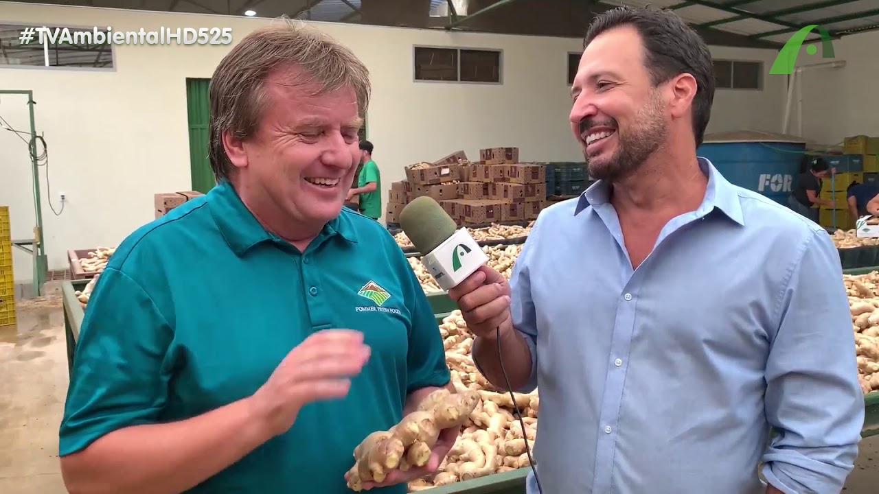 O Rei do gengibre é capixaba!
