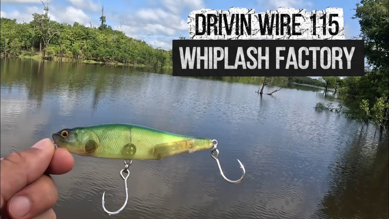 Um espetáculo de isca para Tucunarés e água salgada Whiplash Factory Drivin Wire 115 😁🎣