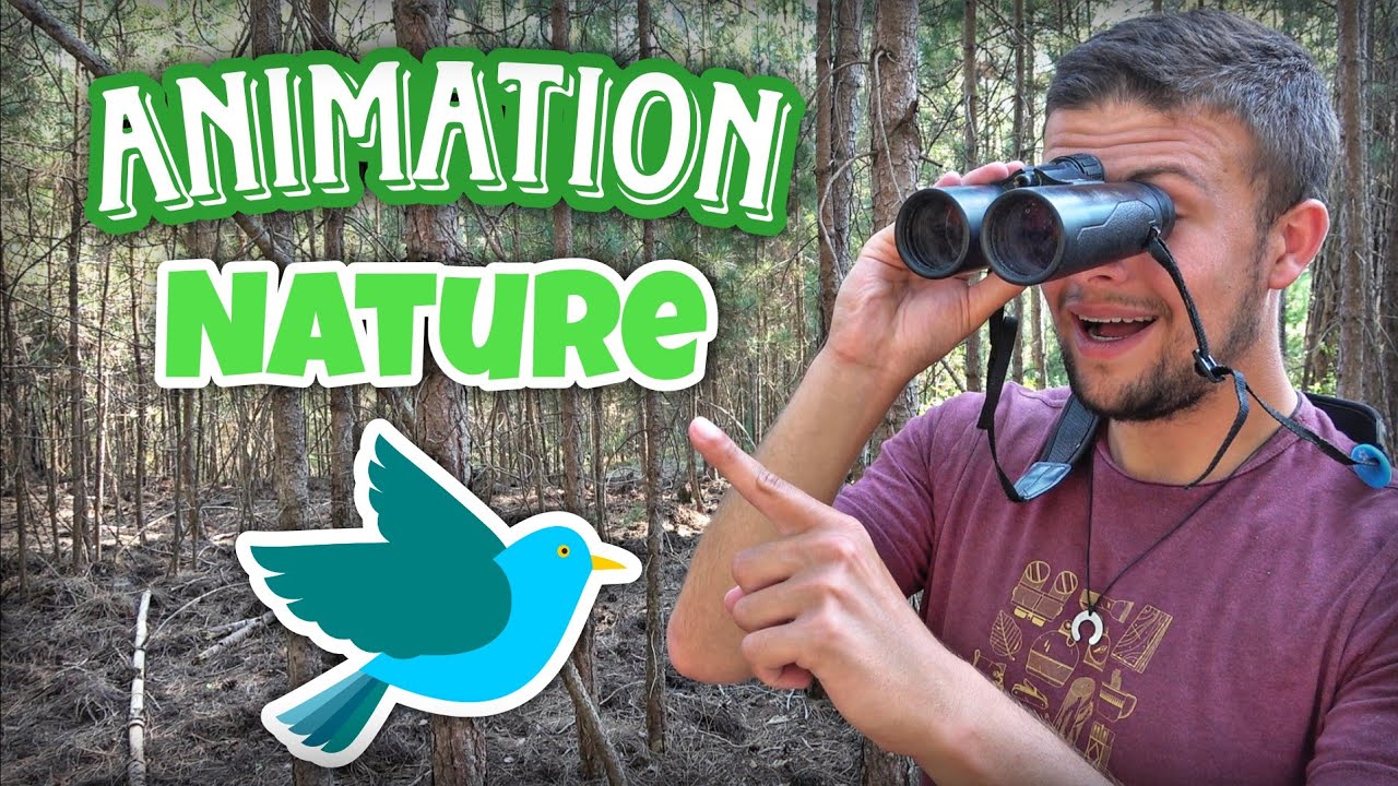 Idées de jeux et d'activités nature, thème oiseaux 🐦 [animateur nature, BTS GPN, guide naturaliste]