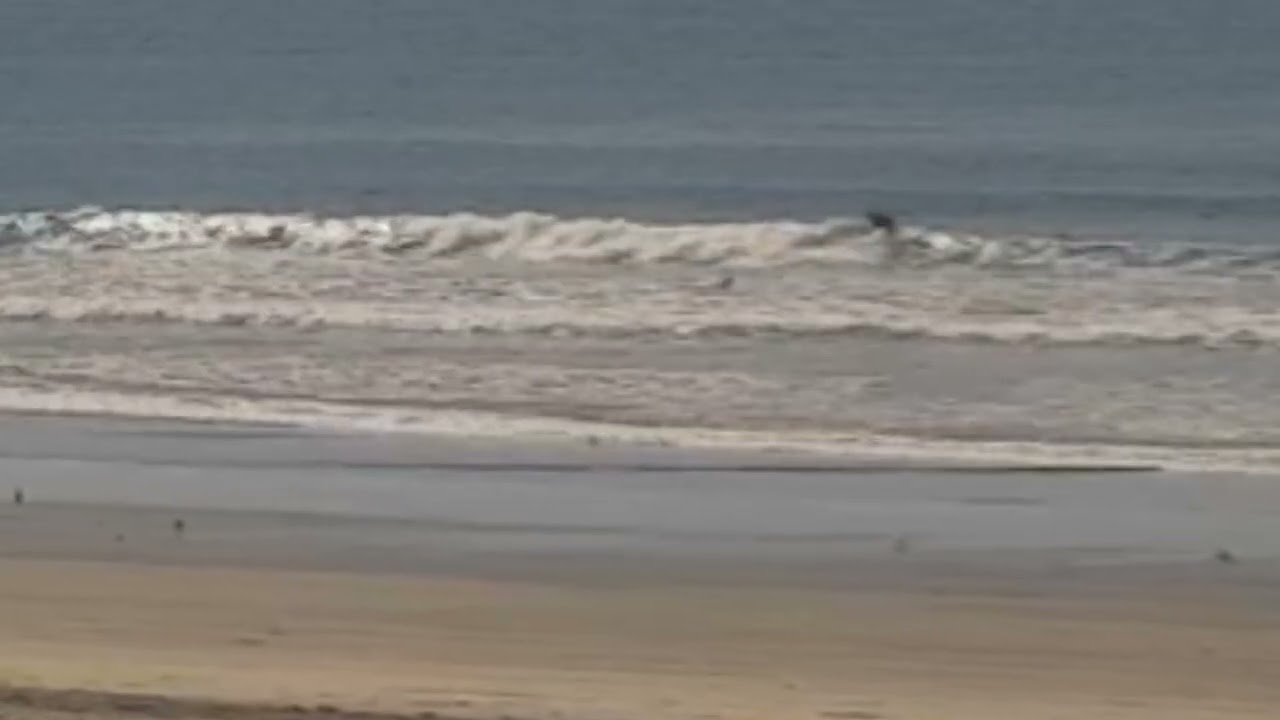 Surfing oside harbor