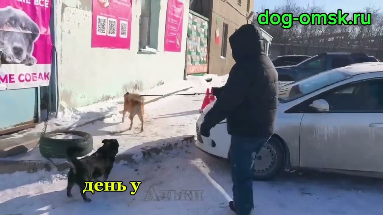 Итоги дня 12.02.2026