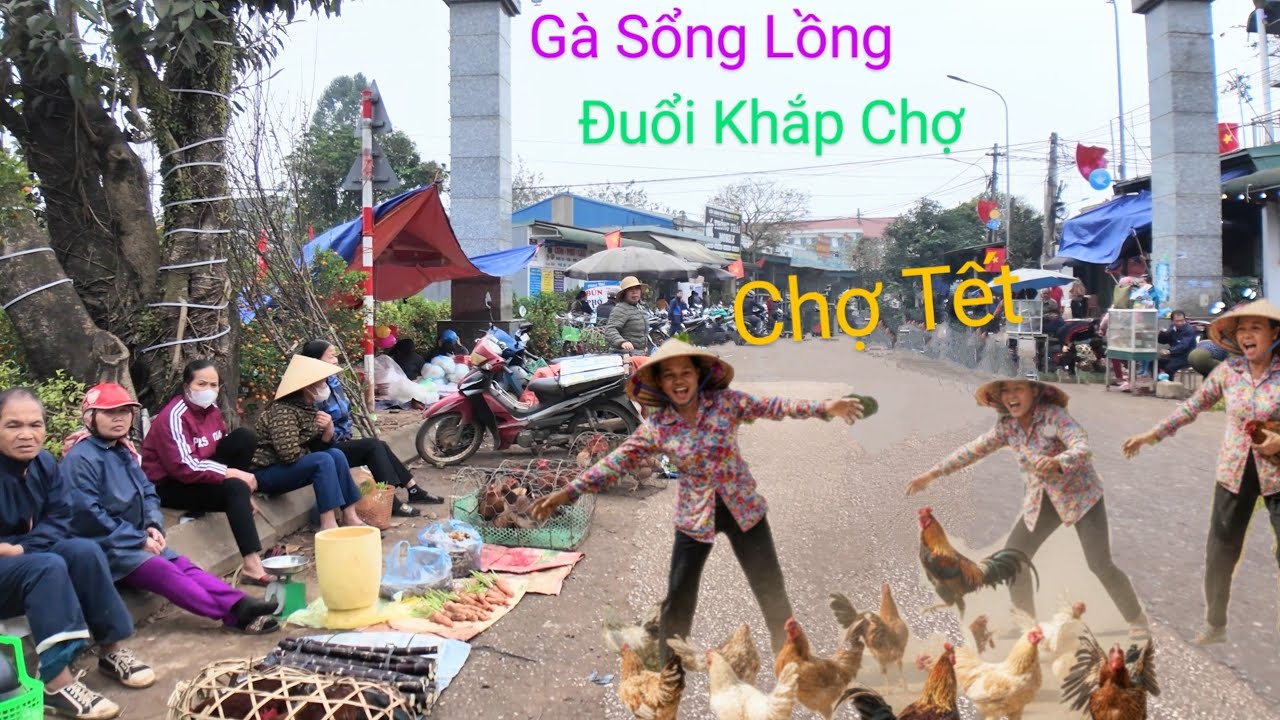 Chợ Tết - Bán Gà Bị Sổ Lồng Đuổi Bắt Khắp Chợ phiên