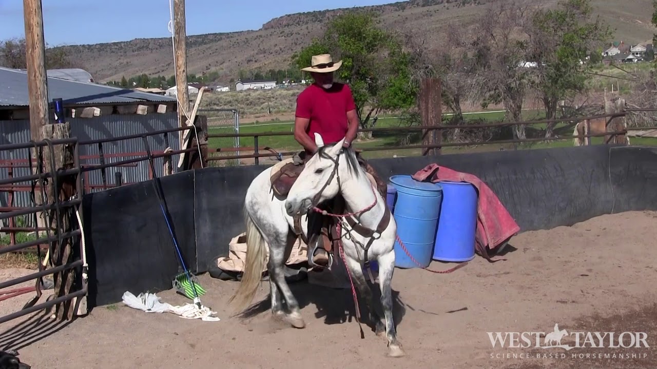 Teaching your Horse 