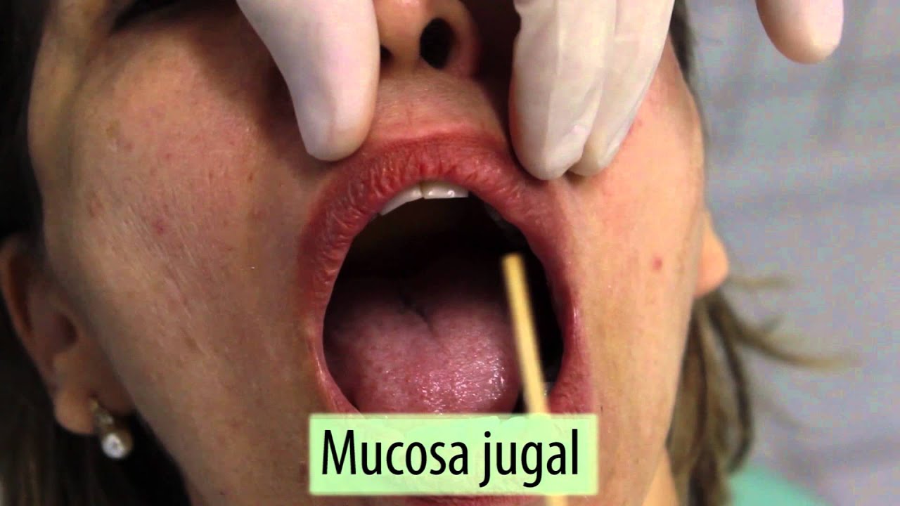 Exame físico do paciente