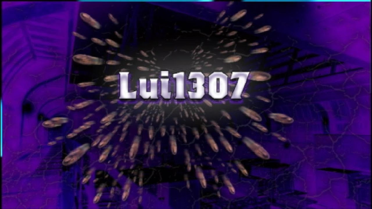Lui1307 and friends
