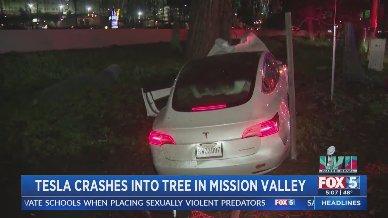 Driver, Dog Rescued from Tesla After Crash