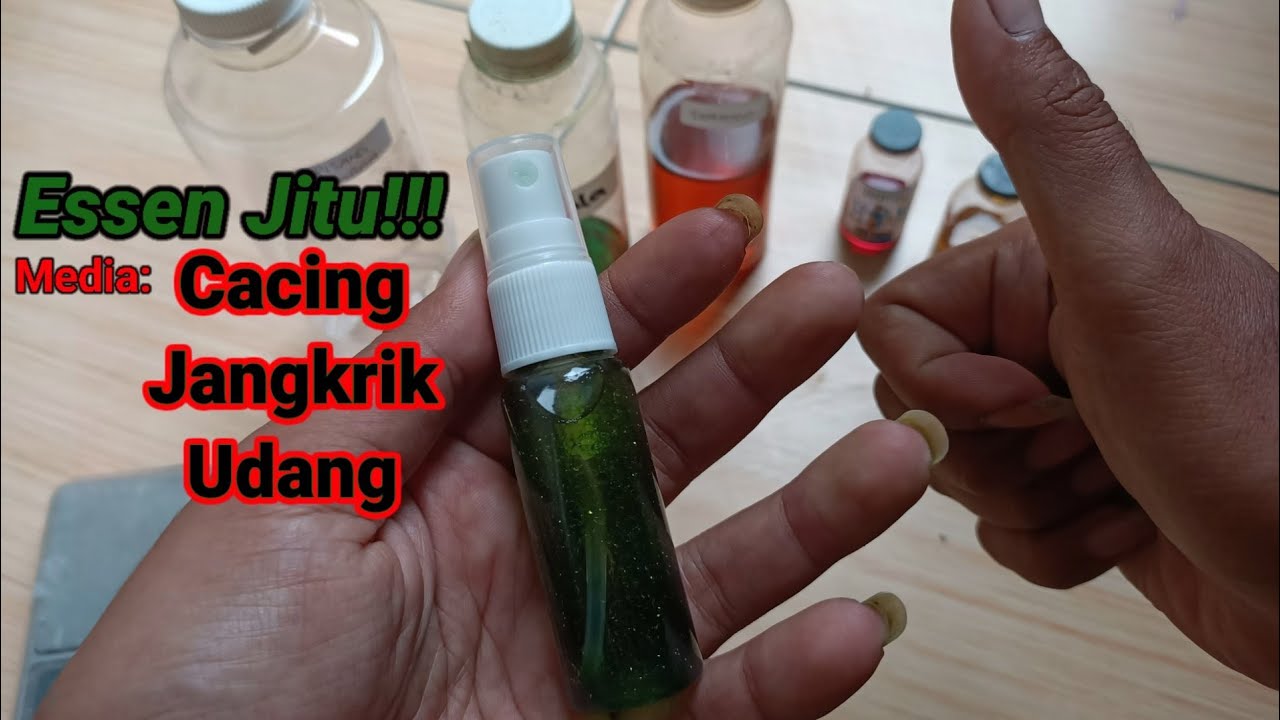 Resep racikan Essen media cacing,jangkrik dan umpan hidup lainnya