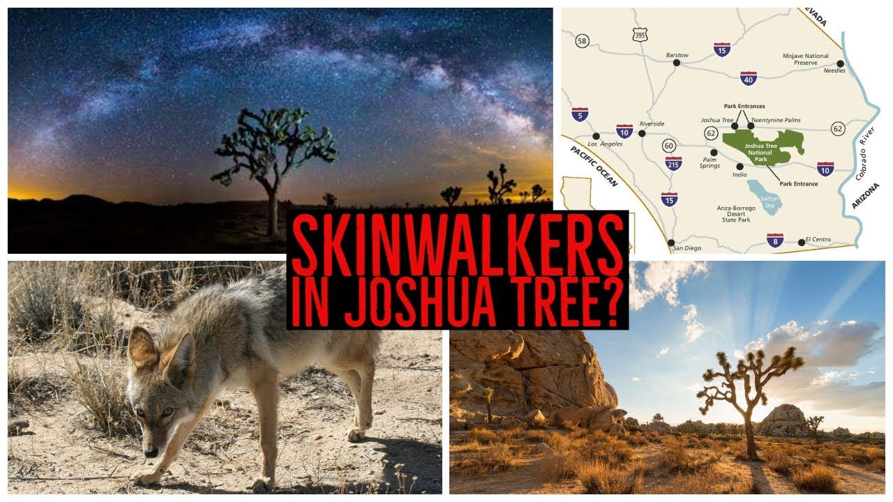 Joshua Tree Skinwalkers || Myth or Reality?