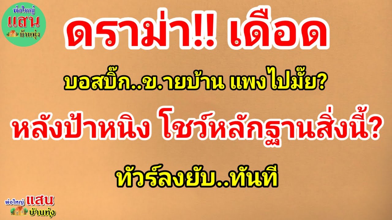 ดราม่า!! เดือด..บอสบิ๊ก ข.ายบ้าน แพงไปมั๊ย..หลังป้าหนิง โชว์หลักฐานสิ่งนี้? ทัวร์ลงยับ..ทันที