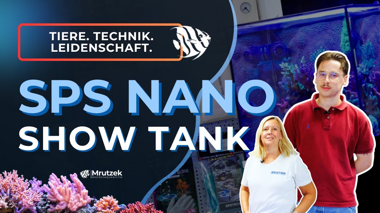 Nano-Riff mit Wow-Faktor – Unser 76L Nano SPS Schaubecken vorgestellt von Luca I Nano Aquarium