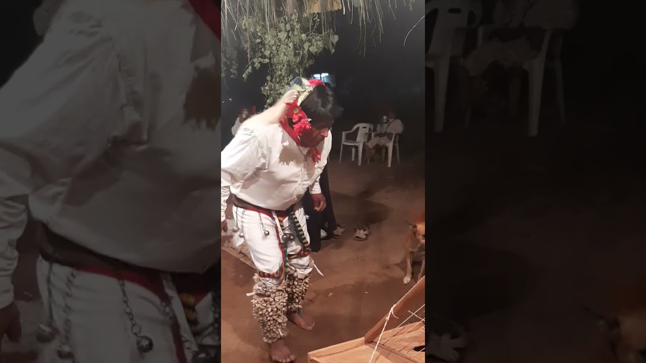 Danza del Pascola,  Poblado, Mochicahui.
