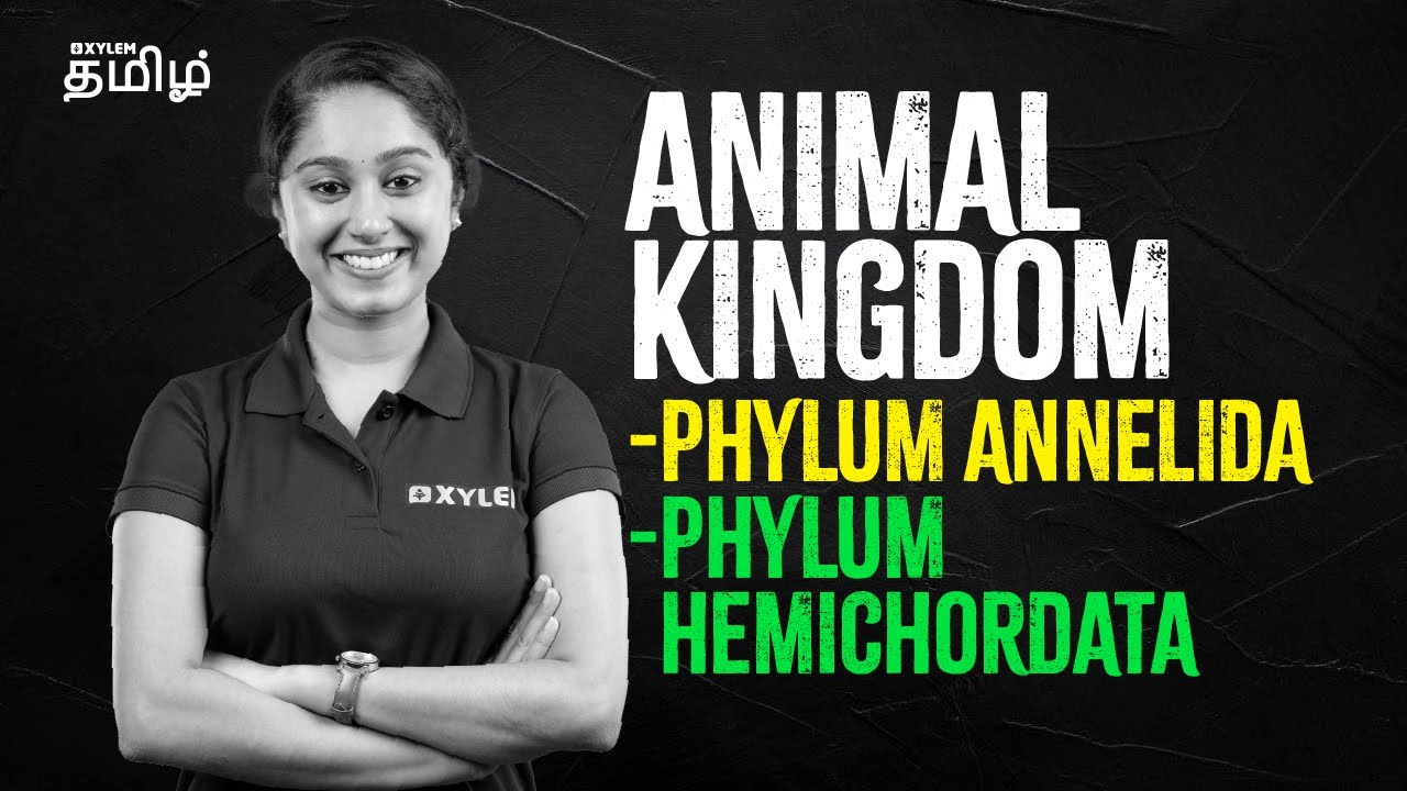 Animal Kingdom | Phylum Annelida - Phylum Hemichordata | Xylem NEET Tamil