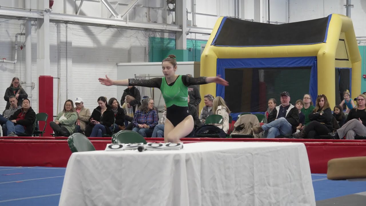 Girls Gymnastics: Brookfield, Danbury, Ludlowe, Warde, and New Fairfield at Fairfield, CT