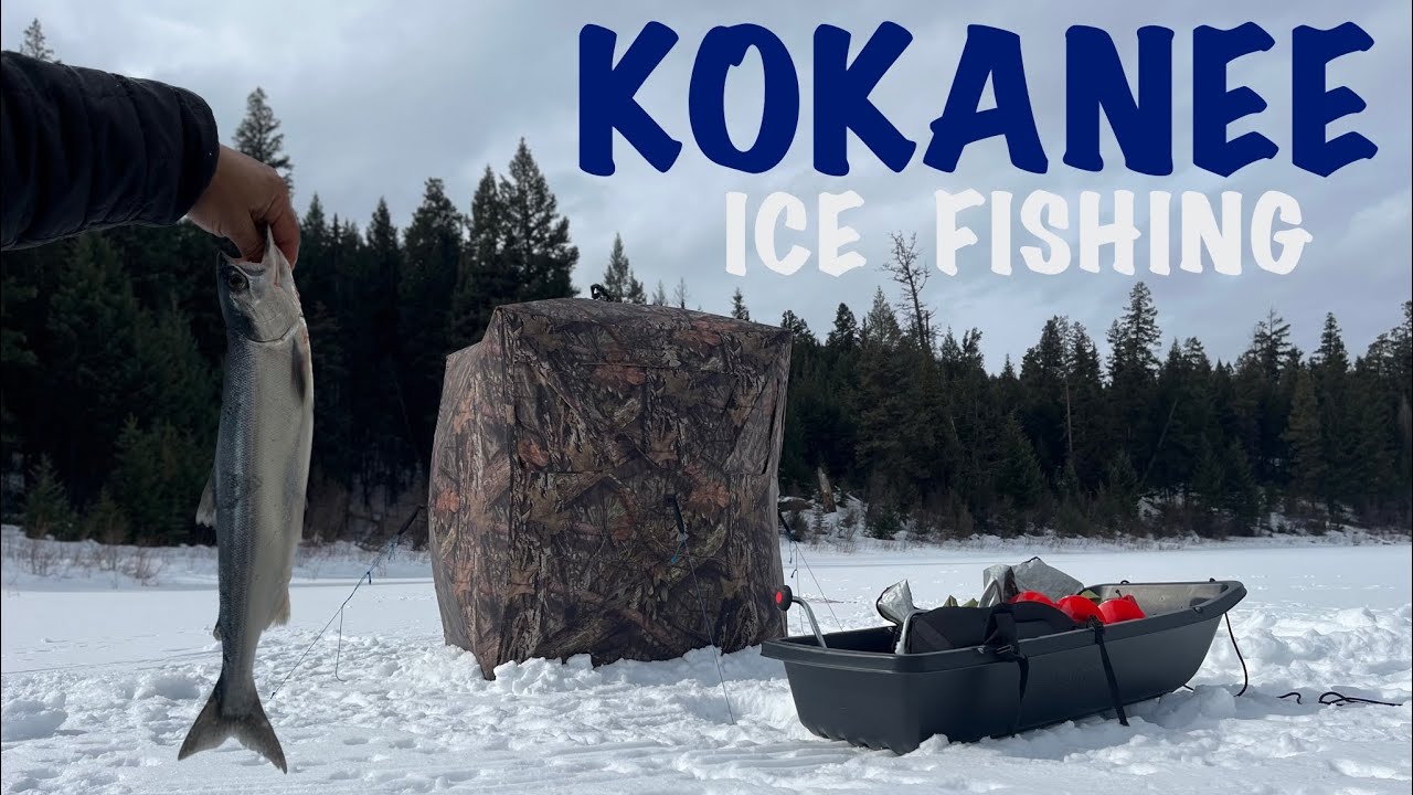 Kokanee Ice Fishing Catch and Cook British Columbia