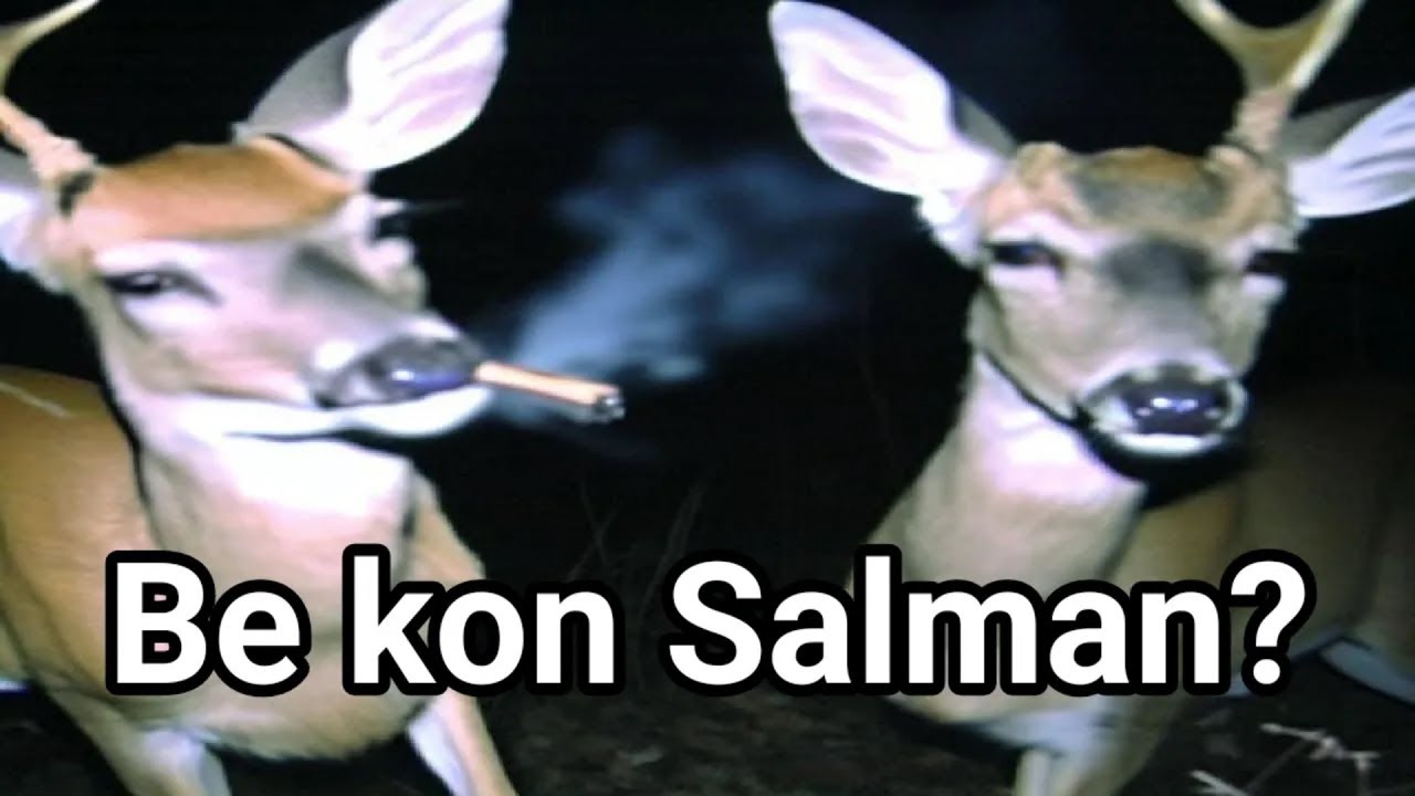 You Laugh You Selmon Boi