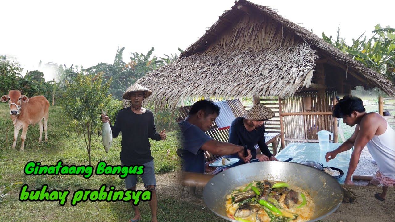 Creamy Ginataang Bangus/Home Style Cooking/Buhay probinsya