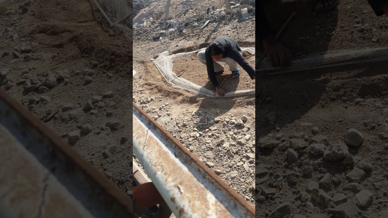 نصب الشبك لصيد الصقور