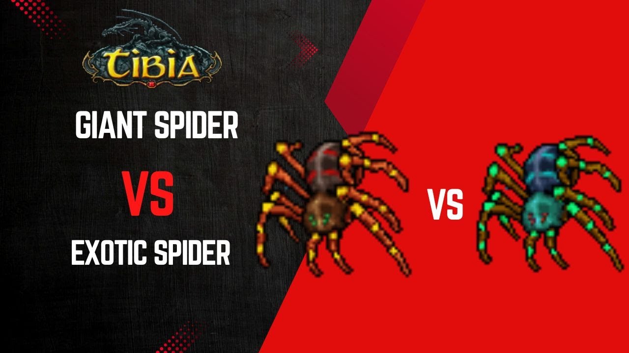 🕷️ 20 Giant Spiders vs 20 Exotic Cave Spiders 🕷️🌴 | Tibia Versus ⚔️