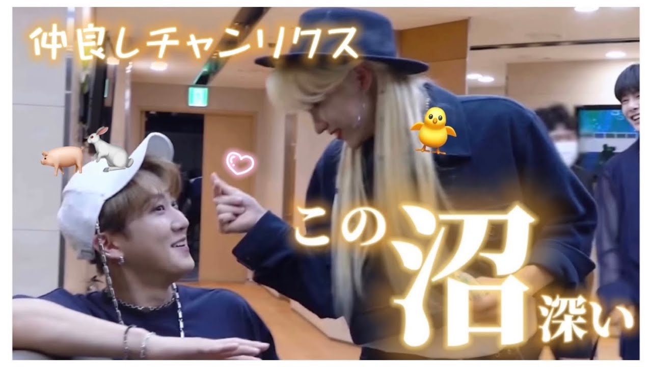【🐖🐇と🐥】この2人に沼る時間です【straykids/日本語字幕/チャンリクス】