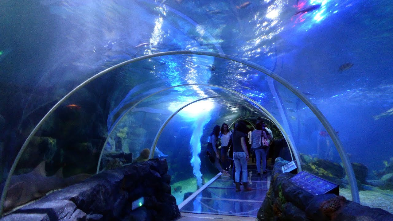National SEA LIFE Centre Birmingham - FULL TOUR