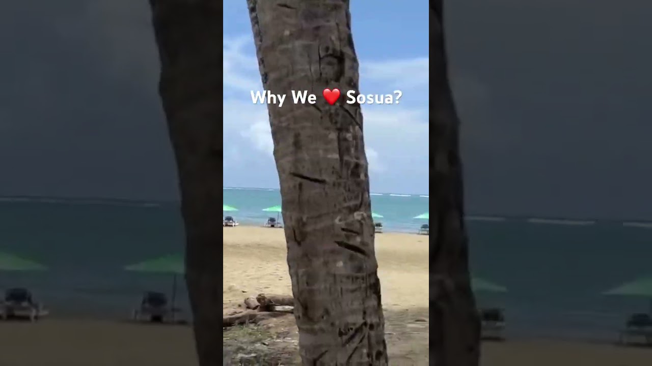 Sosua Dominican Republic Best in class. 