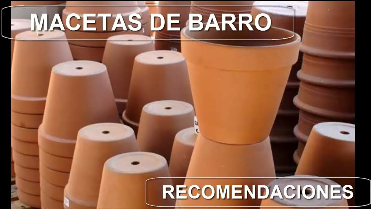 Recomendaciones para macetas de barro