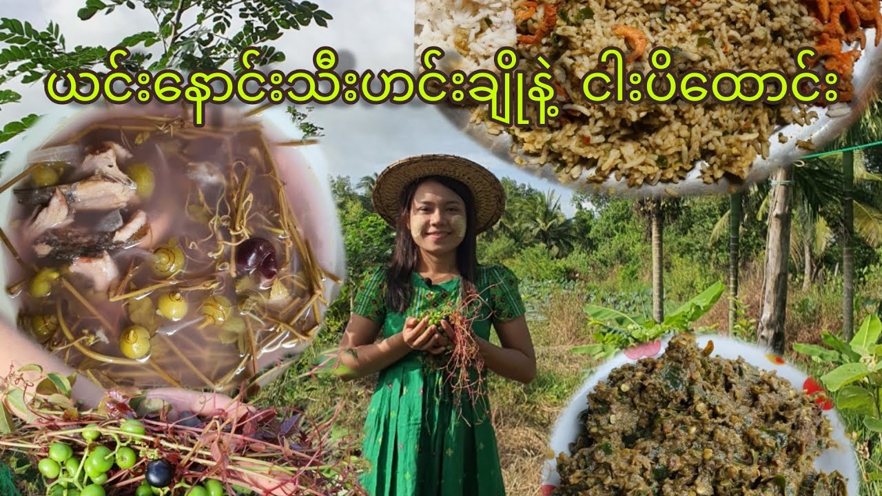 နားမူတို့ဒေသအခေါ် ယင်းနှောင်းသီး နဲ့ငါးကင်ပြီးဟင်းချိုချက်ထားတာရယ် ငါးပိထောင်းရယ်😋 ရှူးရှဲပွင့်ထွက်🤤