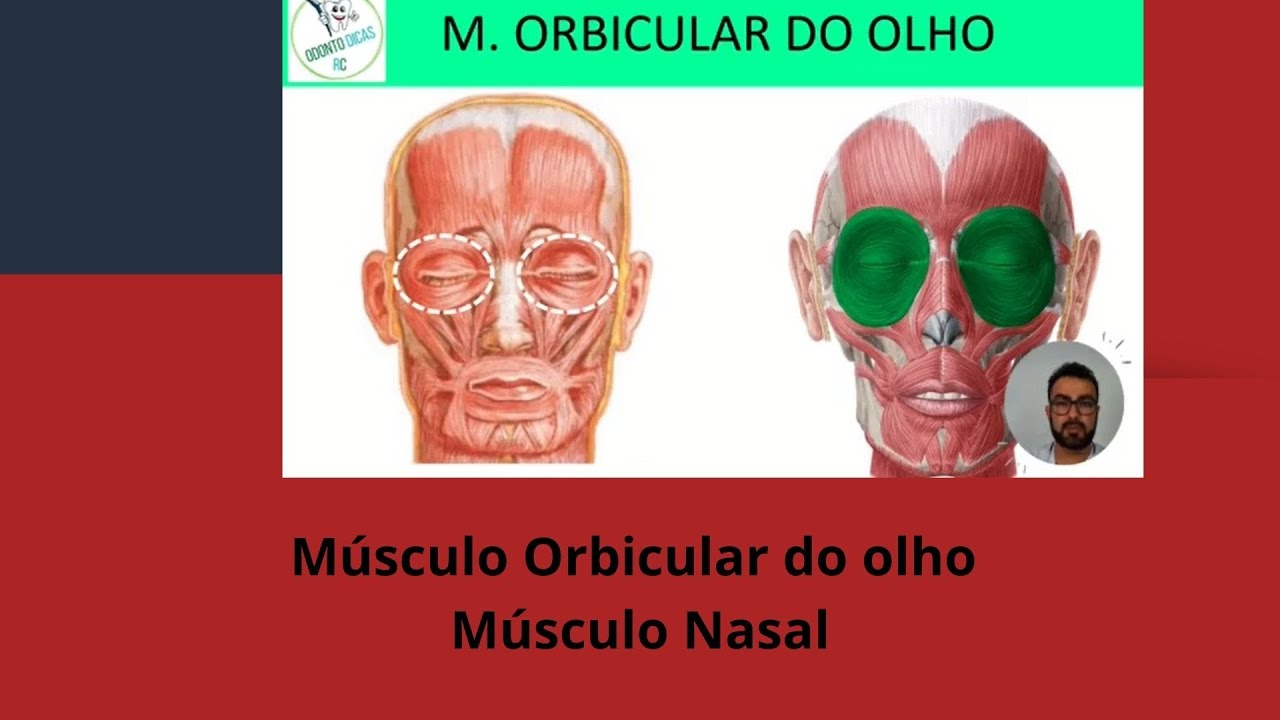 Músculos da mímica facial: orbicular do olho e nasal. Odonto Dicas RC