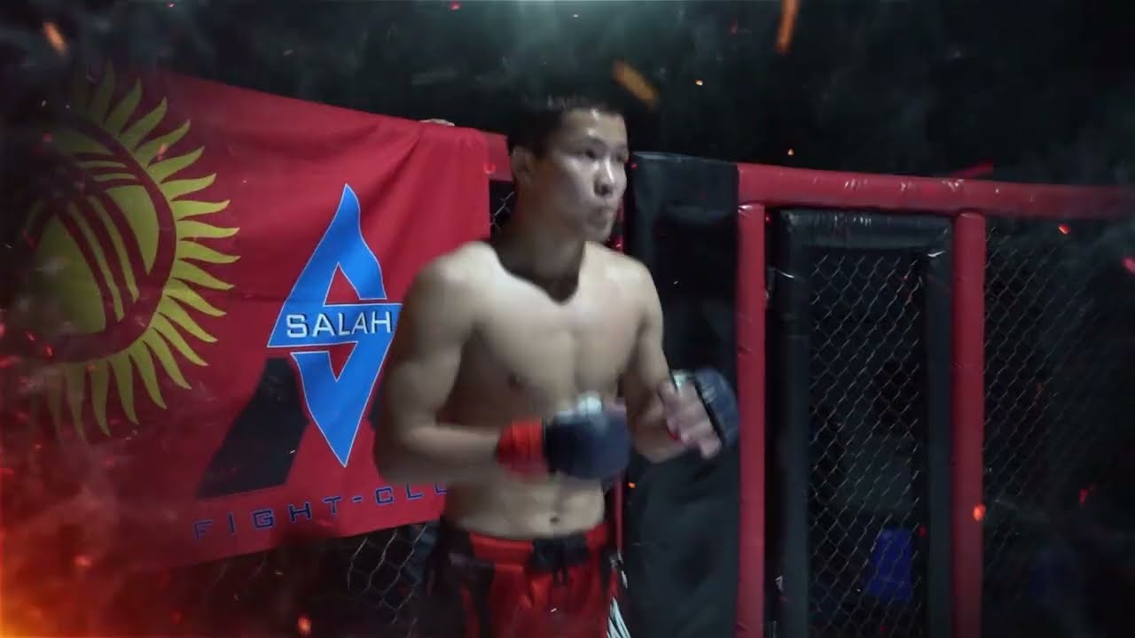 ШУМКАР ПРАЙД 3 & WAKO PRO