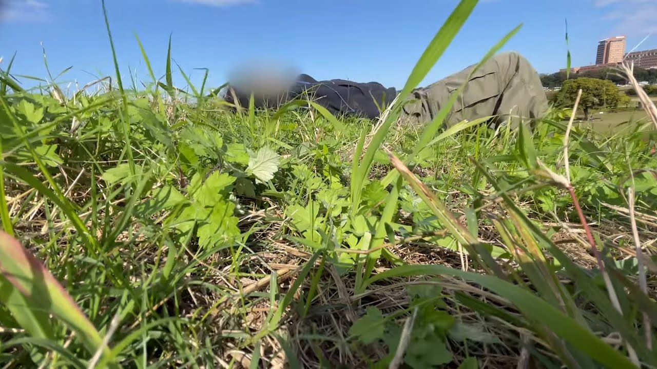 江戸川 #メンタルケア #自律神経を整える